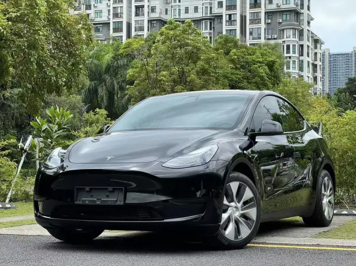 Model Y 2022 Model Facelift Rear-wheel drive version – фото 1