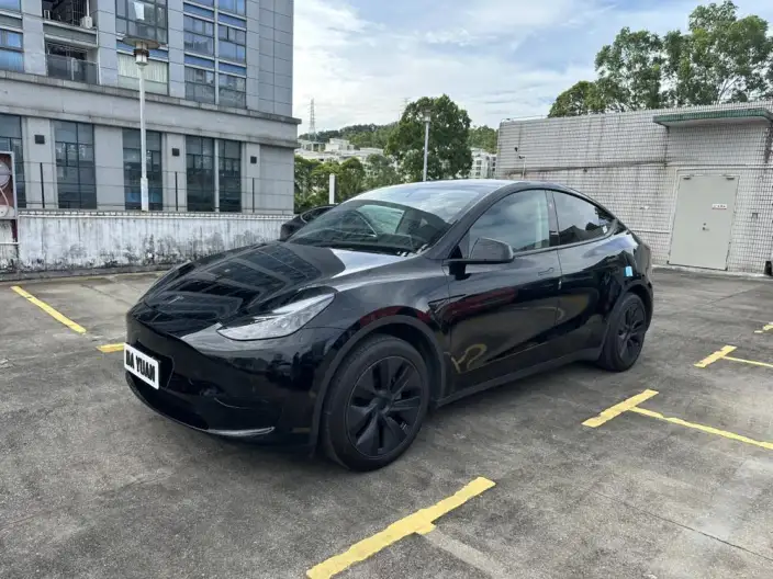 Model Y 2024 Model Rear-wheel drive version – фото 1