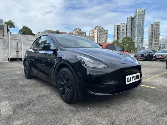 Model Y 2024 Model Rear-wheel drive version – фото 3