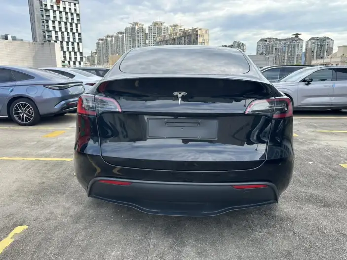 Model Y 2024 Model Rear-wheel drive version – фото 6