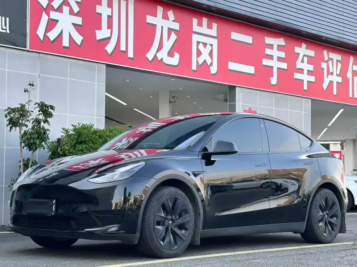 Model Y 2023 Model Rear-wheel drive version – фото 1