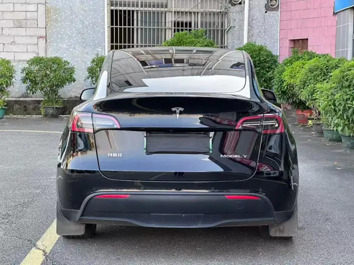 Model Y 2023 Model Rear-wheel drive version – фото 4