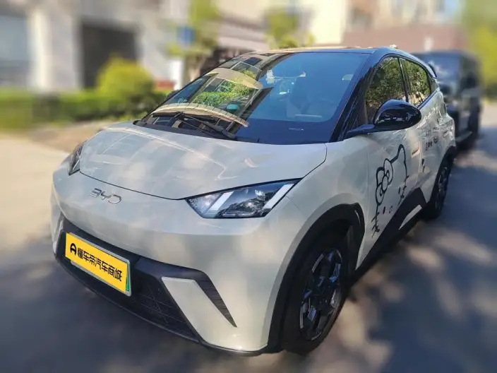 BYD Seagull 2025 Model 405KM Feixiang Edition