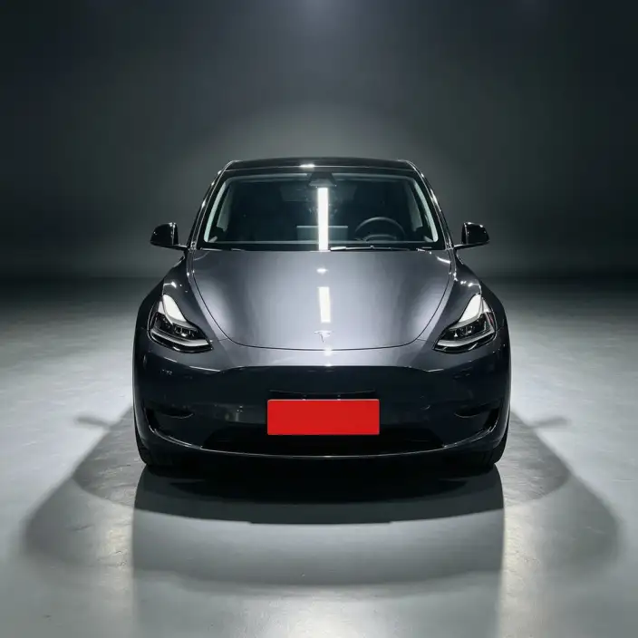 Model Y 2024 Model Rear-wheel drive version – фото 2