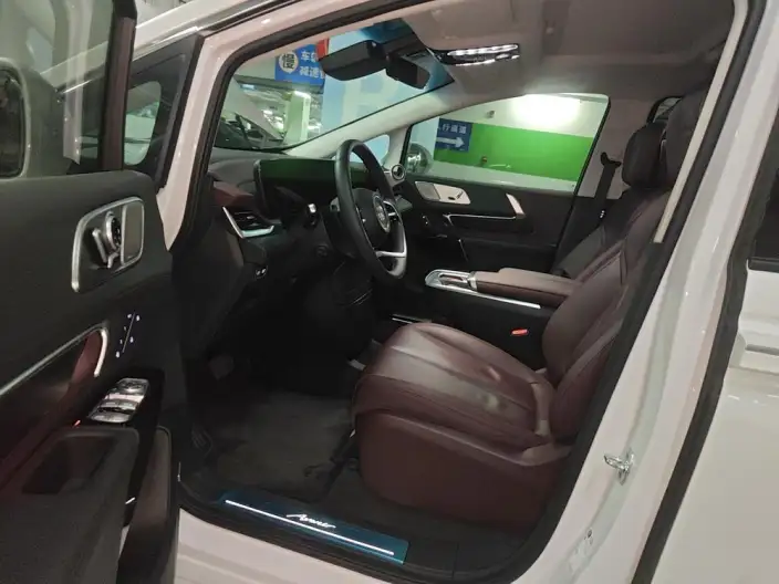 Century 2025 Model 2.0T VII seat Yunshi Edition – фото 10