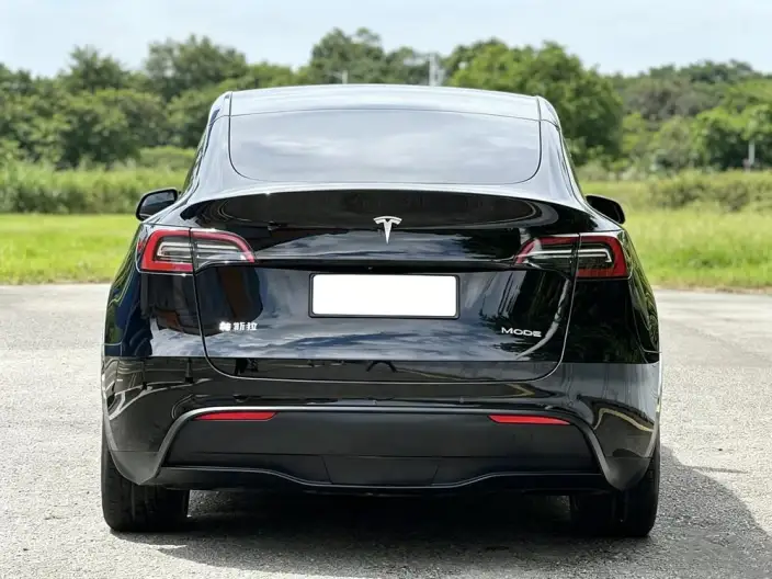 Model Y 2022 Model Facelift Rear-wheel drive version – фото 5