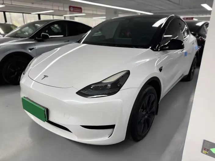 Model Y 2023 Model Rear-wheel drive version – фото 1