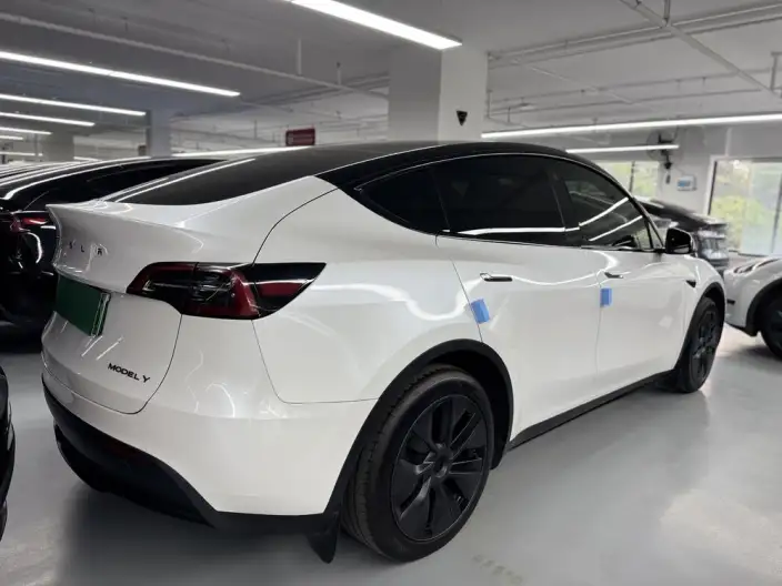 Model Y 2023 Model Rear-wheel drive version – фото 5