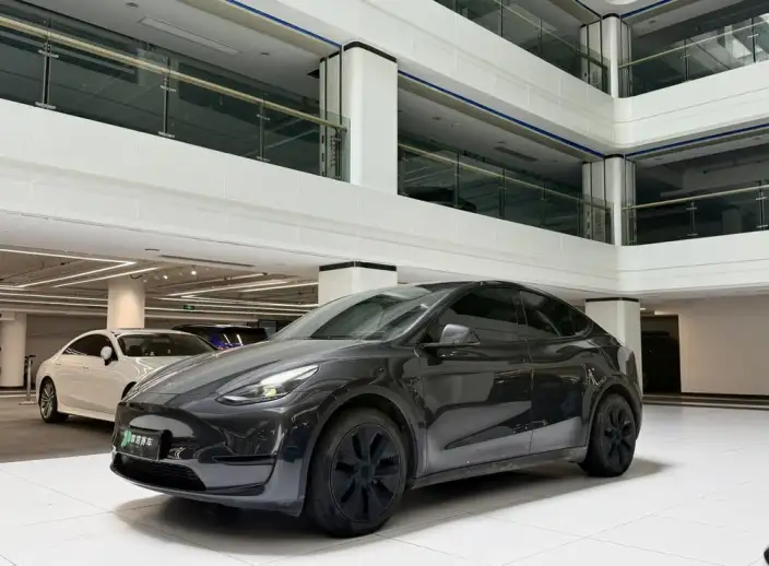Model Y 2024 Model Rear-wheel drive version – фото 1