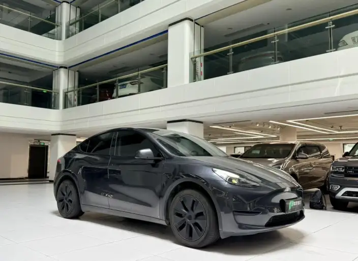 Model Y 2024 Model Rear-wheel drive version – фото 3