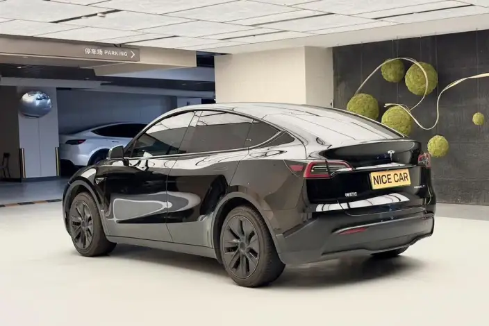 Model Y 2023 Model Rear-wheel drive version – фото 5