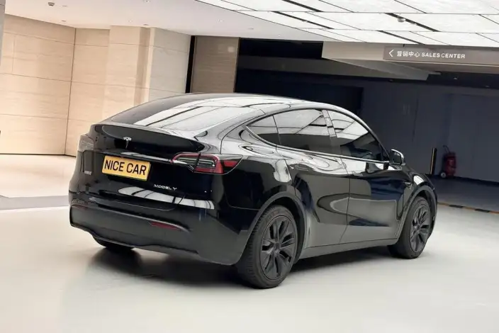 Model Y 2023 Model Rear-wheel drive version – фото 7