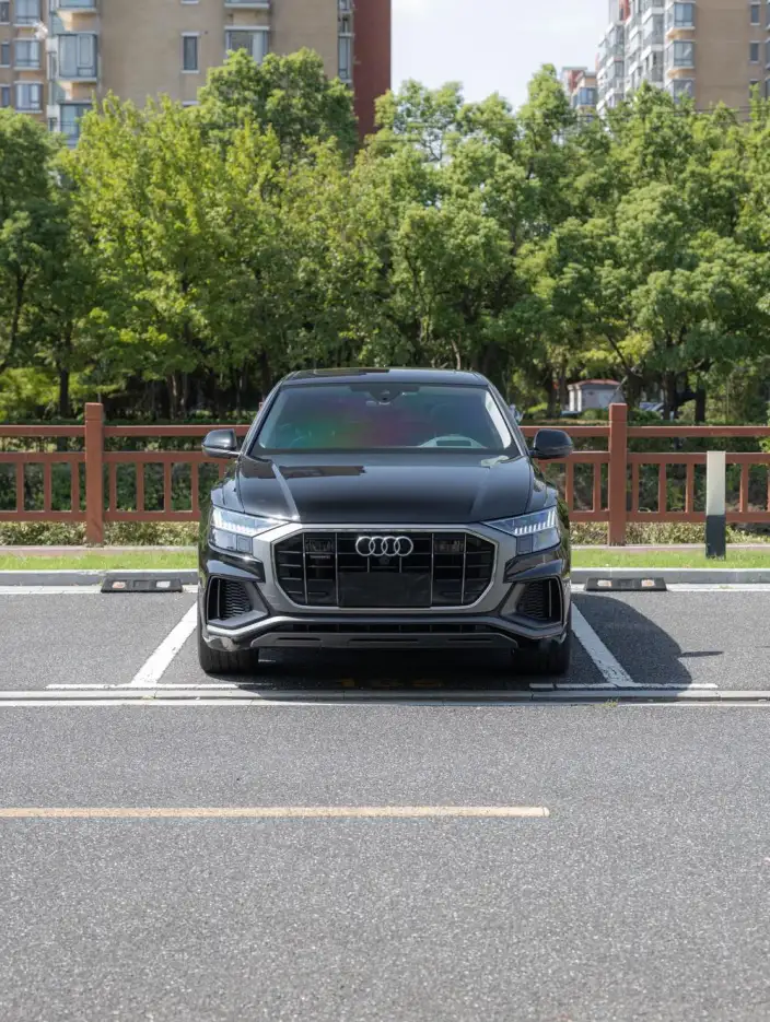 Audi Q8 2023 Model 55 TFSI Luxury Dynamic Model – фото 2