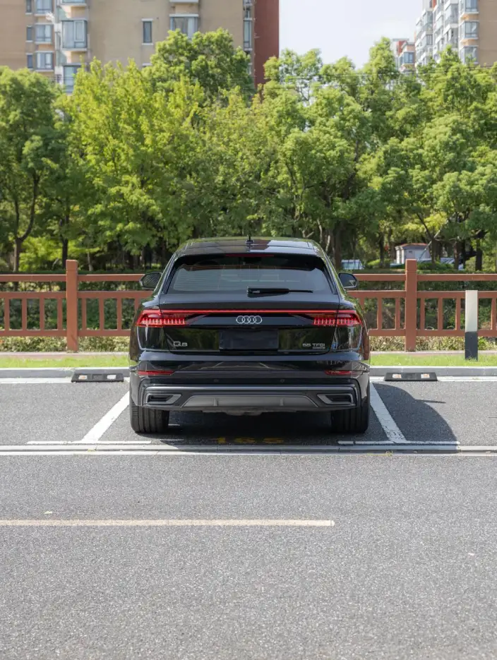 Audi Q8 2023 Model 55 TFSI Luxury Dynamic Model – фото 6