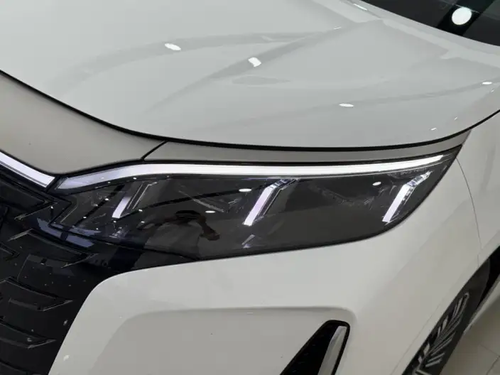 Xia 2025 Model DM-i 180KM Excellence Model – фото 7