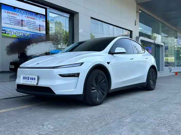 Model Y 2025 Model Rear-wheel drive version – фото 1