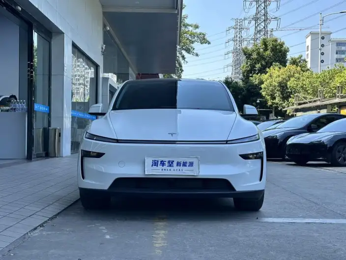 Model Y 2025 Model Rear-wheel drive version – фото 2