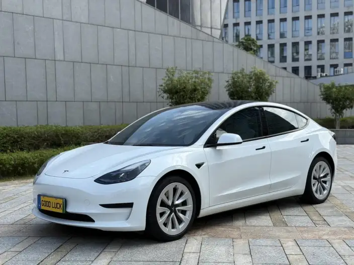 Model 3 2022 Model Rear-wheel drive version – фото 1