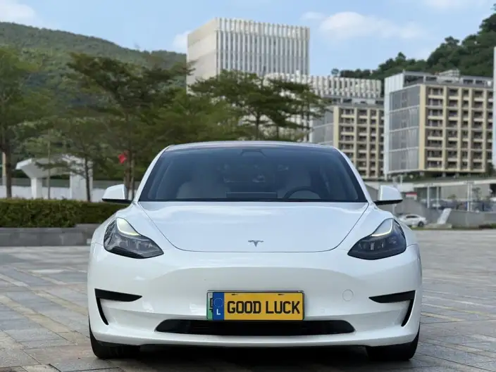Model 3 2022 Model Rear-wheel drive version – фото 2