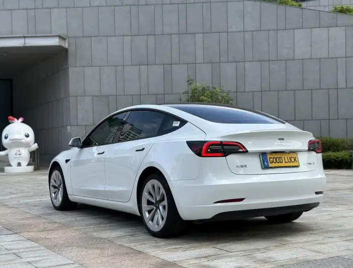 Model 3 2022 Model Rear-wheel drive version – фото 3