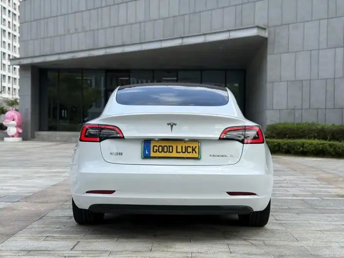 Model 3 2022 Model Rear-wheel drive version – фото 4