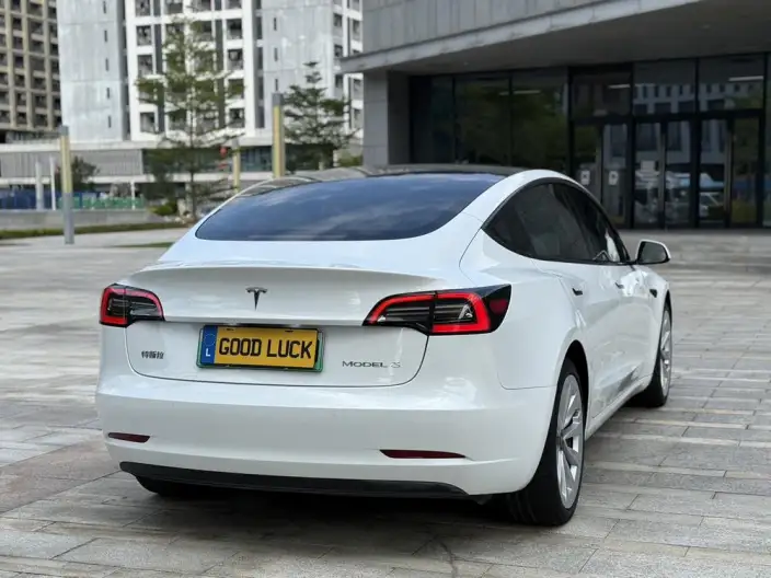 Model 3 2022 Model Rear-wheel drive version – фото 5