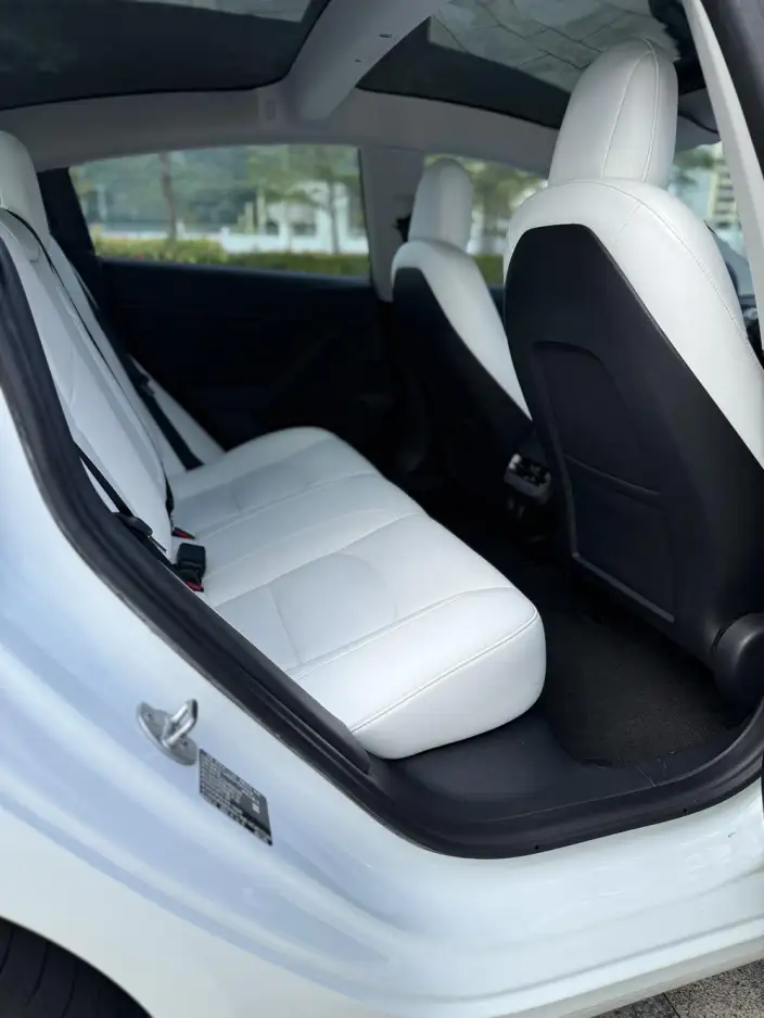Model 3 2022 Model Rear-wheel drive version – фото 8