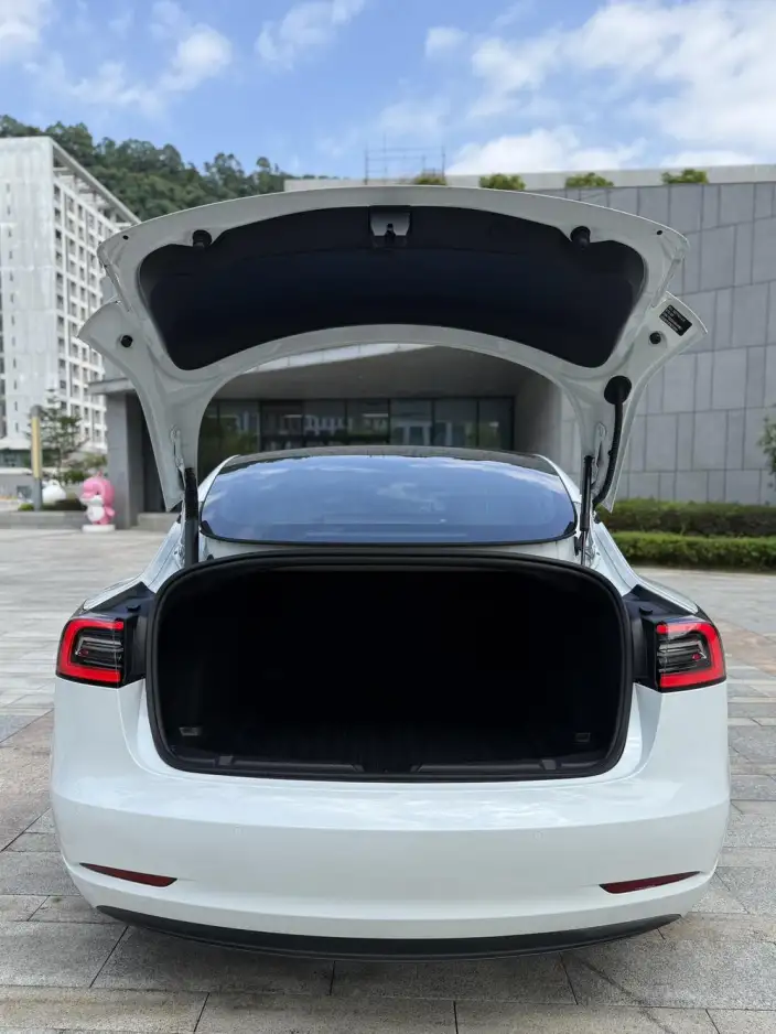 Model 3 2022 Model Rear-wheel drive version – фото 9