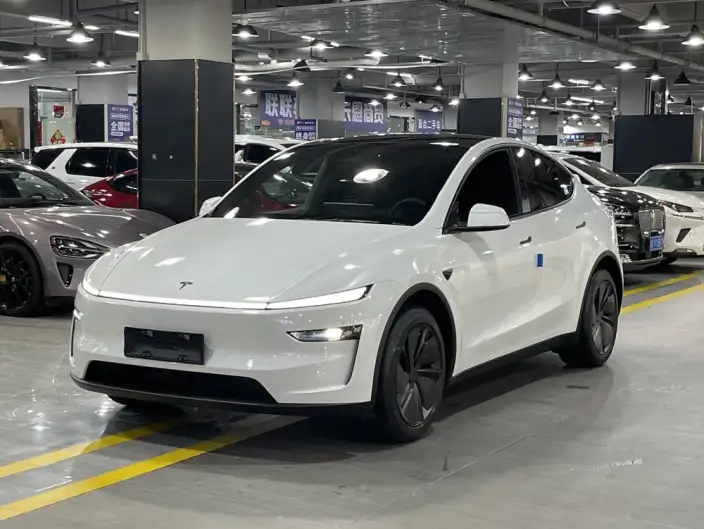 Model Y 2026 Model Rear-wheel drive version – фото 1