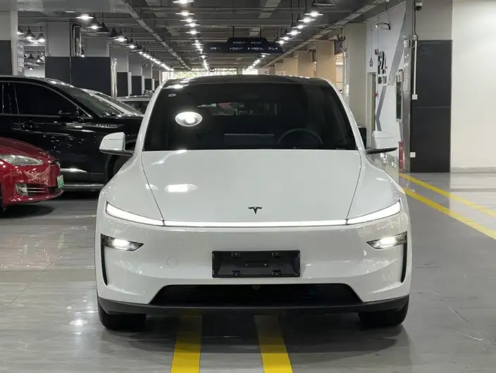 Model Y 2026 Model Rear-wheel drive version – фото 2