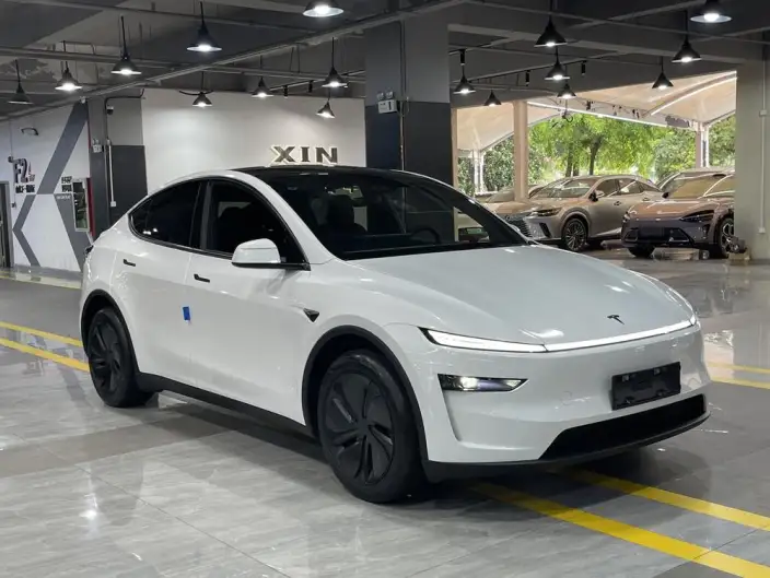 Model Y 2026 Model Rear-wheel drive version – фото 3