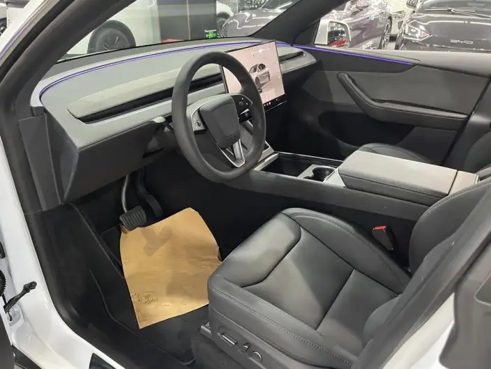 Model Y 2026 Model Rear-wheel drive version – фото 8
