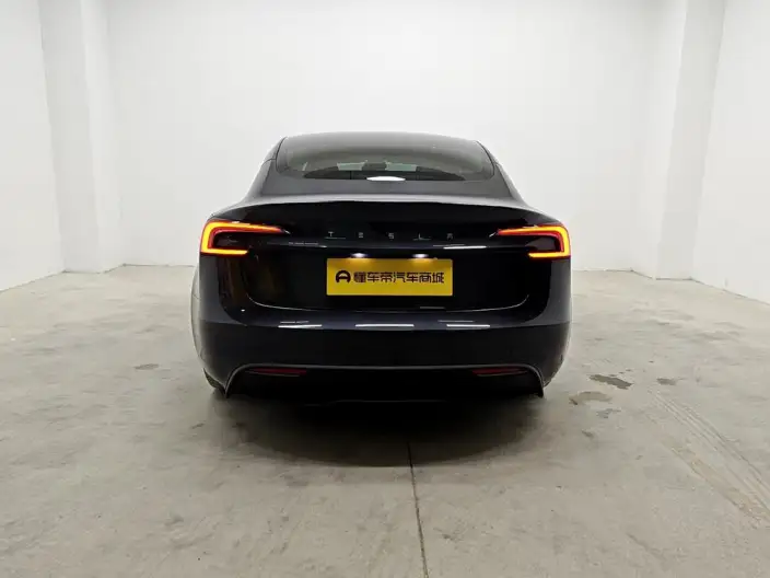 Model 3 2023 Model Long Battery Life Pro All-wheel drive version – фото 6