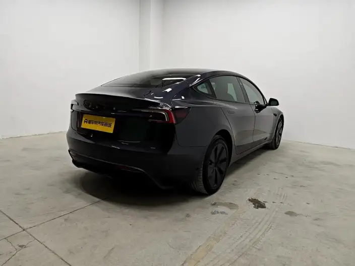 Model 3 2023 Model Long Battery Life Pro All-wheel drive version – фото 7