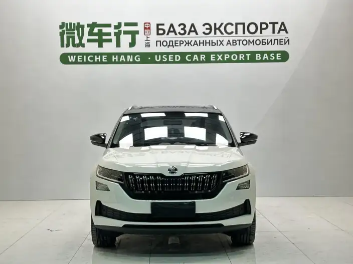 Kodiaq GT 2024 Model TSI330 2WD Luxury Edition – фото 2