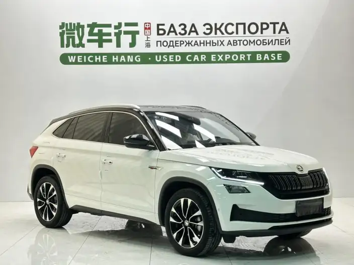 Kodiaq GT 2024 Model TSI330 2WD Luxury Edition – фото 3