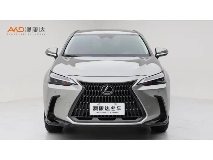 Lexus NX 2022 Model 260 Qian Drive Innovation Drive Edition