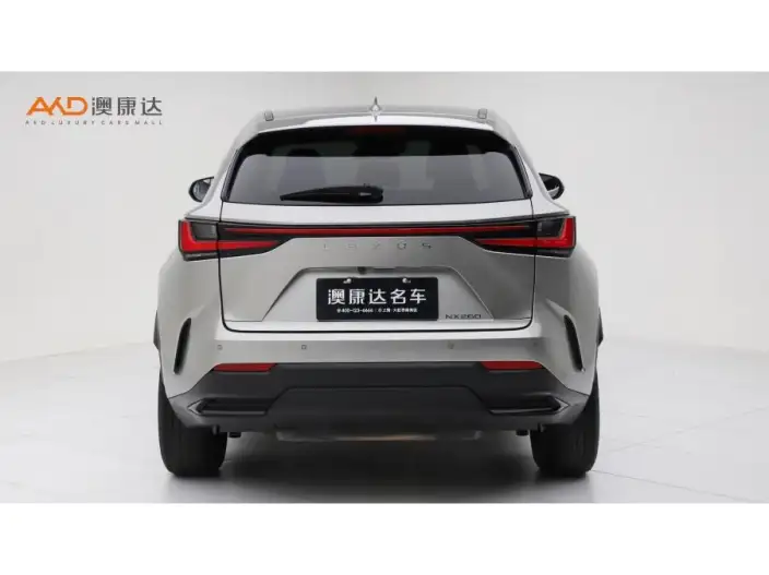 Lexus NX 2022 Model 260 Qian Drive Innovation Drive Edition