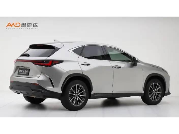 Lexus NX 2022 Model 260 Qian Drive Innovation Drive Edition