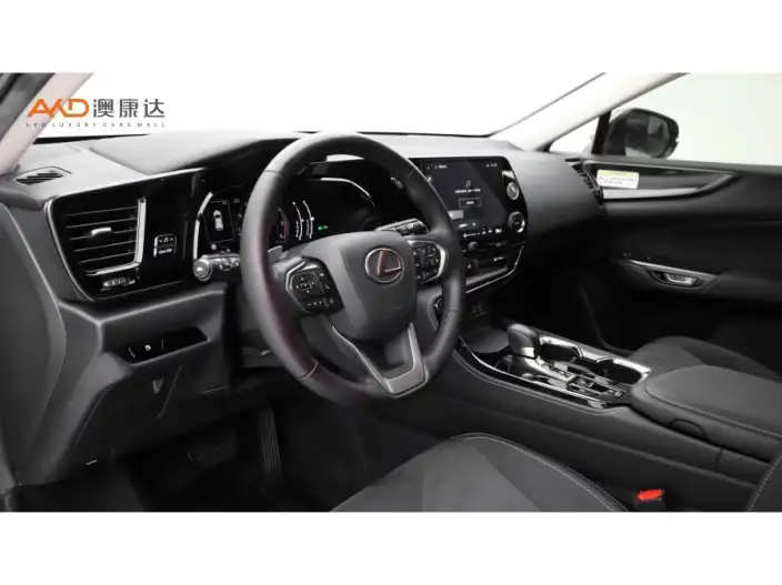 Lexus NX 2022 Model 260 Qian Drive Innovation Drive Edition – фото 6