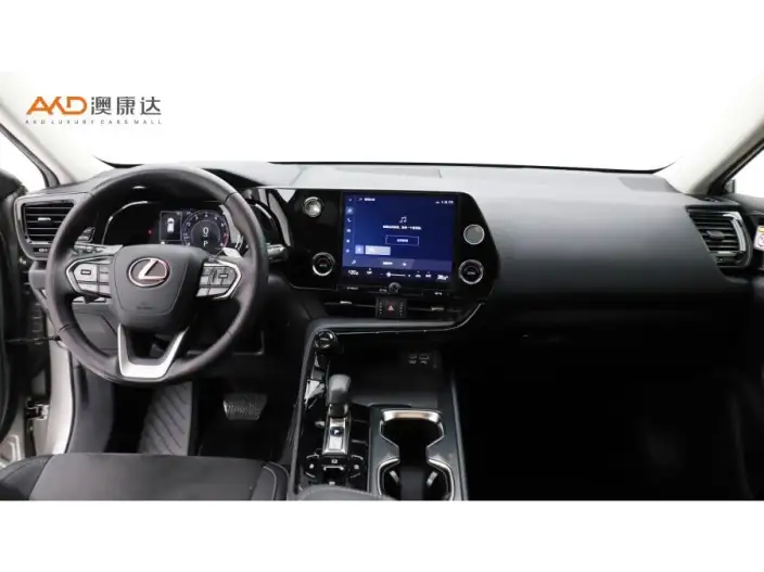 Lexus NX 2022 Model 260 Qian Drive Innovation Drive Edition – фото 7