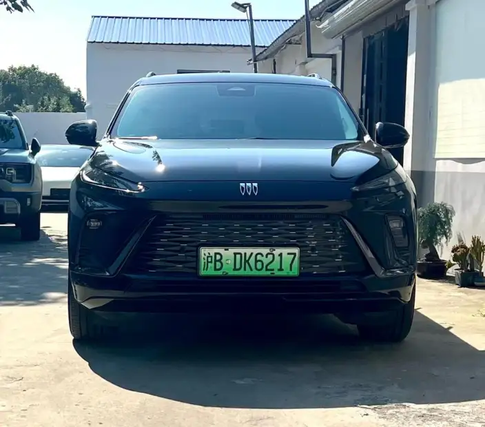 BUICK E5 2023 Model Zhen Xiang Standard battery life version