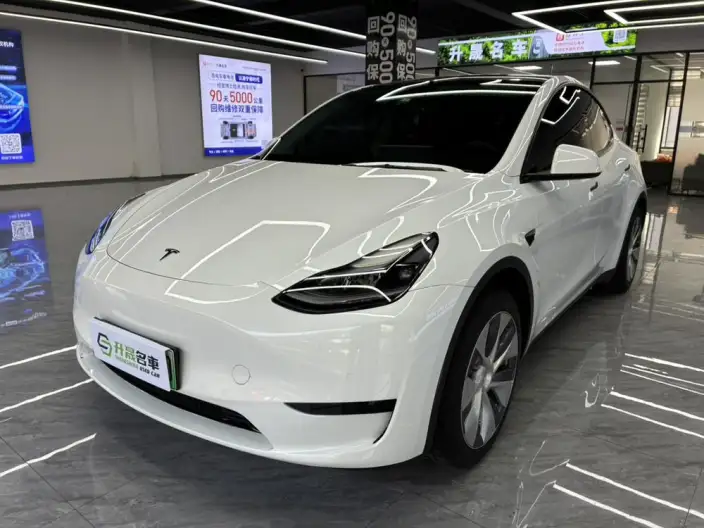 Model Y 2022 Model Rear-wheel drive version – фото 1