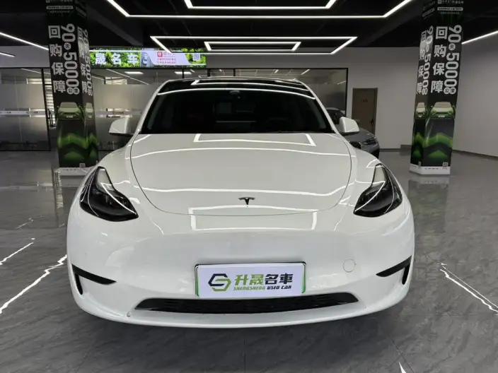 Model Y 2022 Model Rear-wheel drive version – фото 2