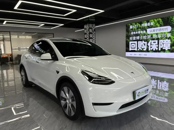 Model Y 2022 Model Rear-wheel drive version – фото 3
