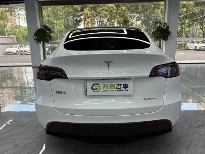 Model Y 2022 Model Rear-wheel drive version – фото 5