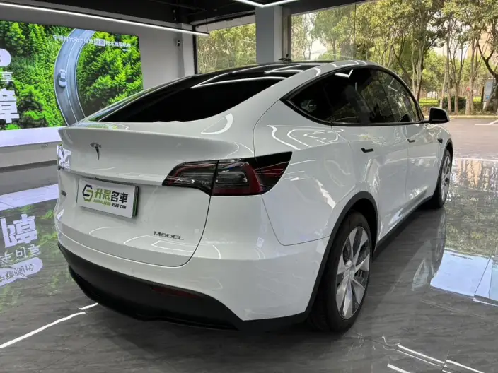Model Y 2022 Model Rear-wheel drive version – фото 6