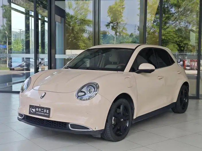 ORA Good Cat 2024 Model 401km Luxury Model