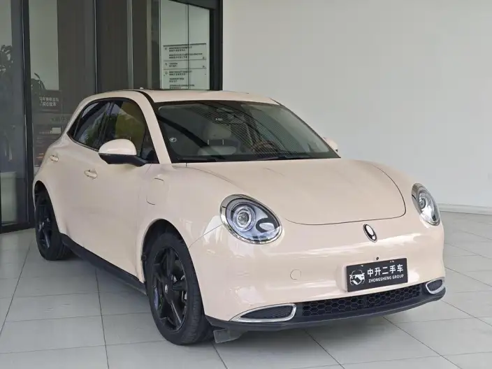 ORA Good Cat 2024 Model 401km Luxury Model
