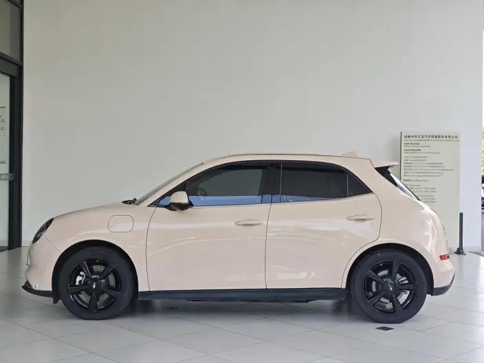 ORA Good Cat 2024 Model 401km Luxury Model